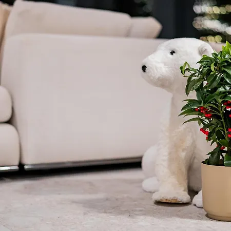 Stodoly Nad Jeziorem Niebo I Ziemia Willa *